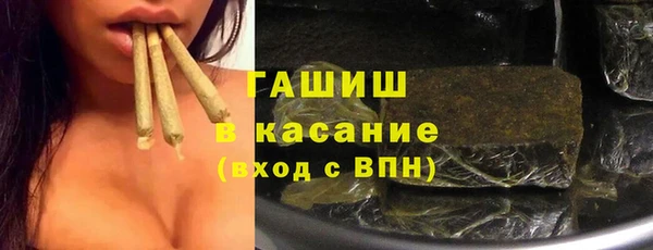 стаф Бородино