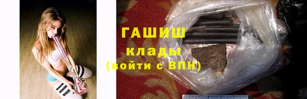 стаф Бородино