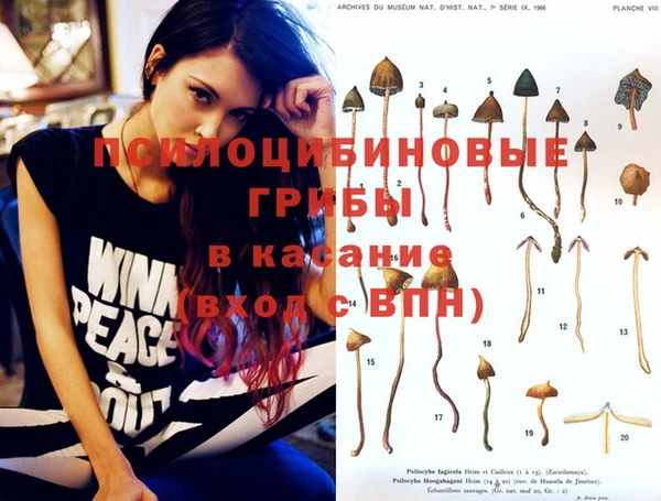 шишки Бугульма