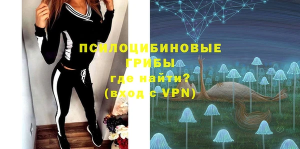 шишки Бугульма