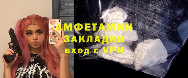 стаф Бородино