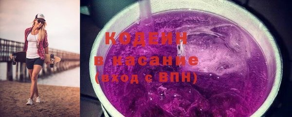 стаф Бородино