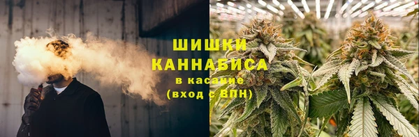 шишки Бугульма