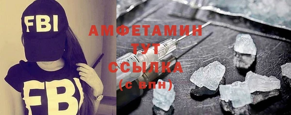 стаф Бородино
