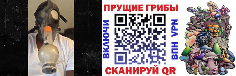 Галлюциногенные грибы Cubensis  Купить  Кохма 
